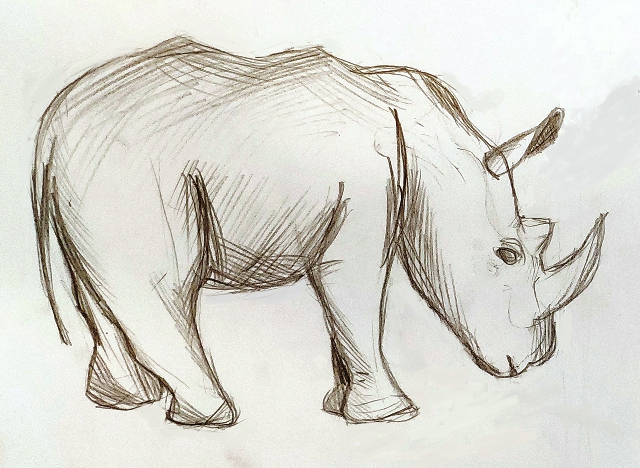 Носорог рисунок детский рисунок